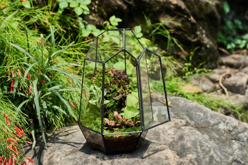 FISCRAT Metal Geometric Glass Planter | 7.9 * 6.9 * 9.8inch Rust-Proof Indoor/Outdoor Planter for Succulents, Air Plants | Space-Saving Vertical Design,a for Apartment Living and Plant Lovers - Image 4